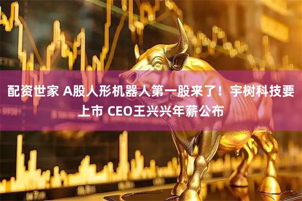 配资世家 A股人形机器人第一股来了！宇树科技要上市 CEO王兴兴年薪公布